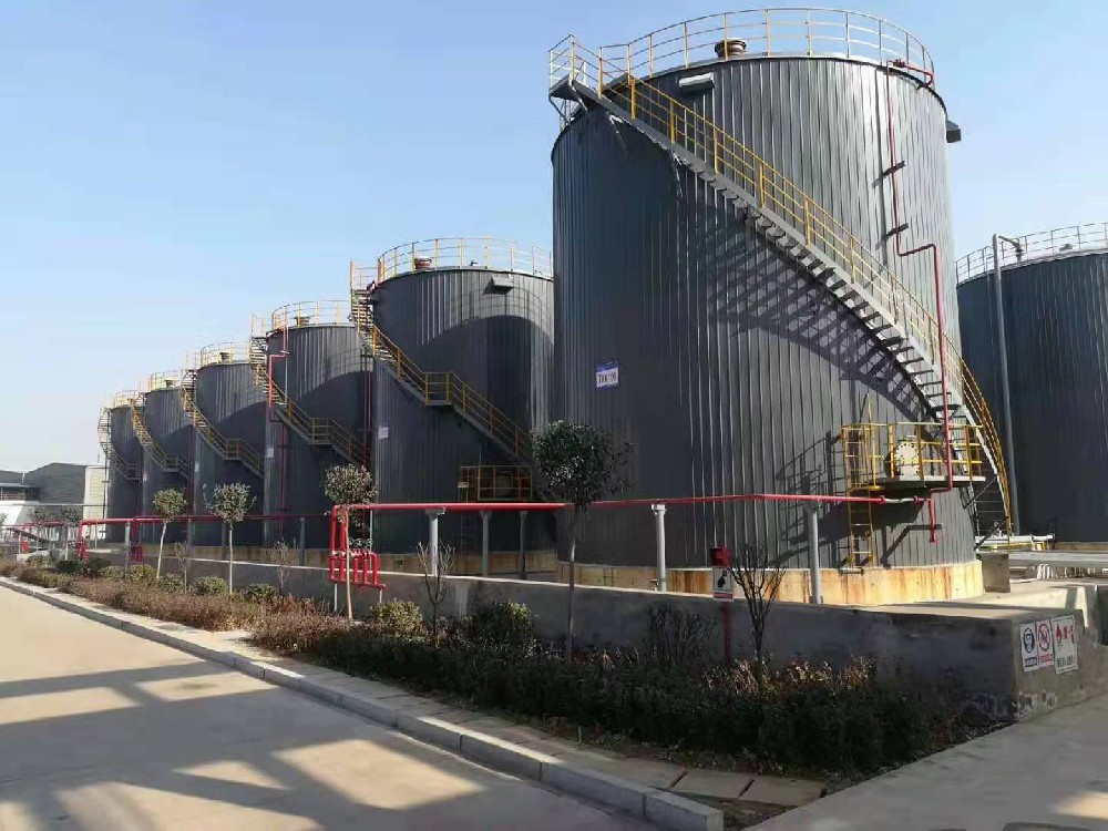 山东宝舜化工科技有限公司项目